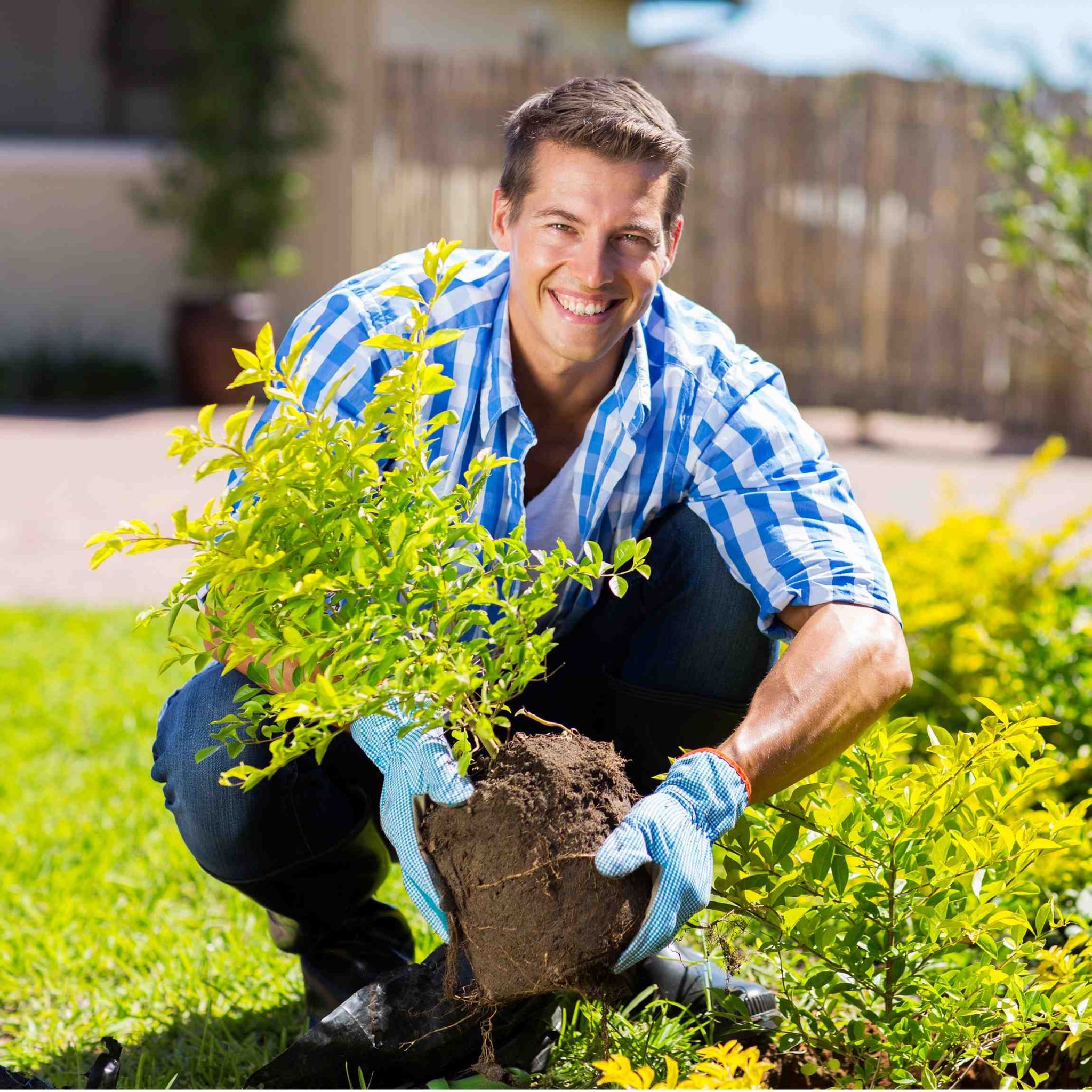 Comment declarer petits travaux de jardinage