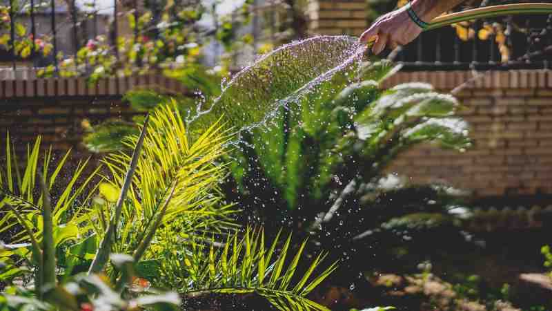 Où déclarer les frais de jardinage ?