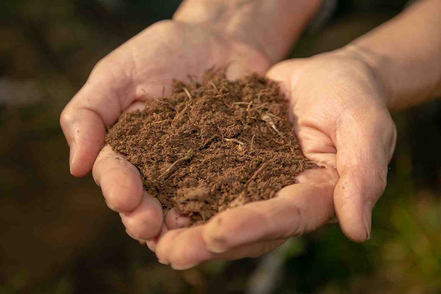 Où trouver du sel d'Epsom pour le jardin ?