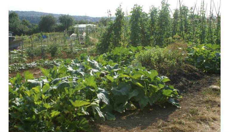 Combien coute les heures de jardinage